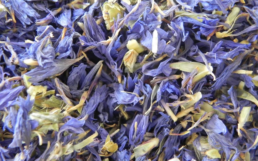 BLEUET Pétale 50 gr
