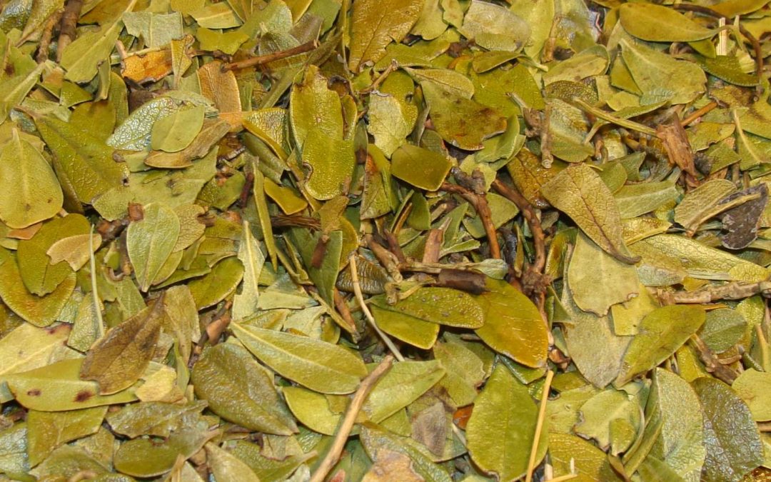 BUSSEROLE Feuille 150 gr