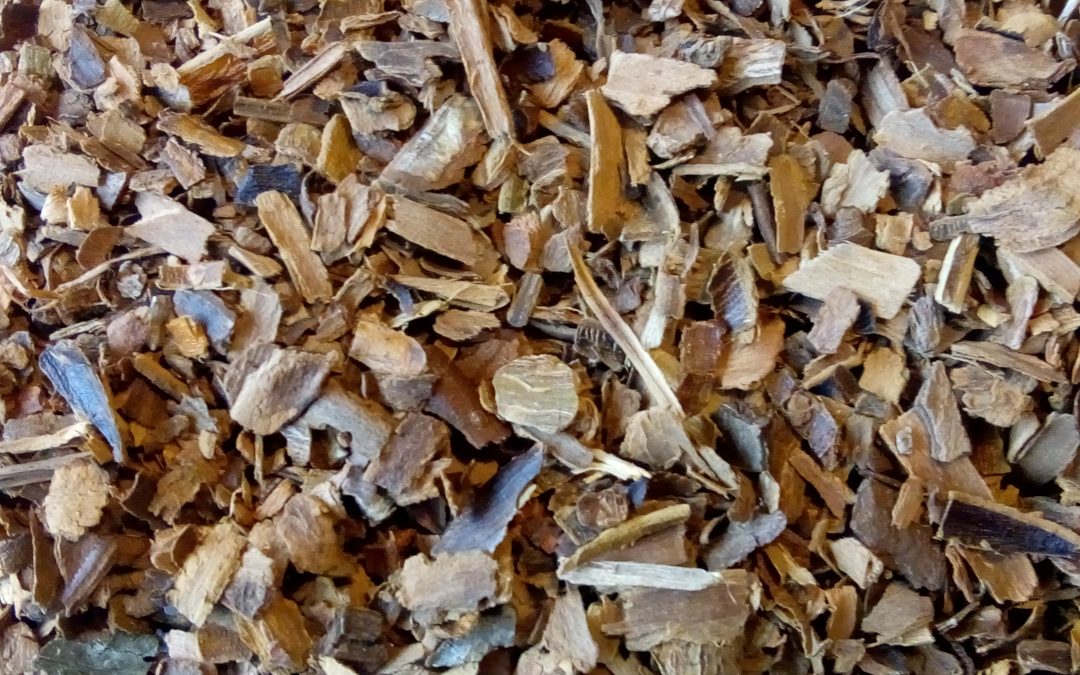 CANNELLE Ecorce 100 gr