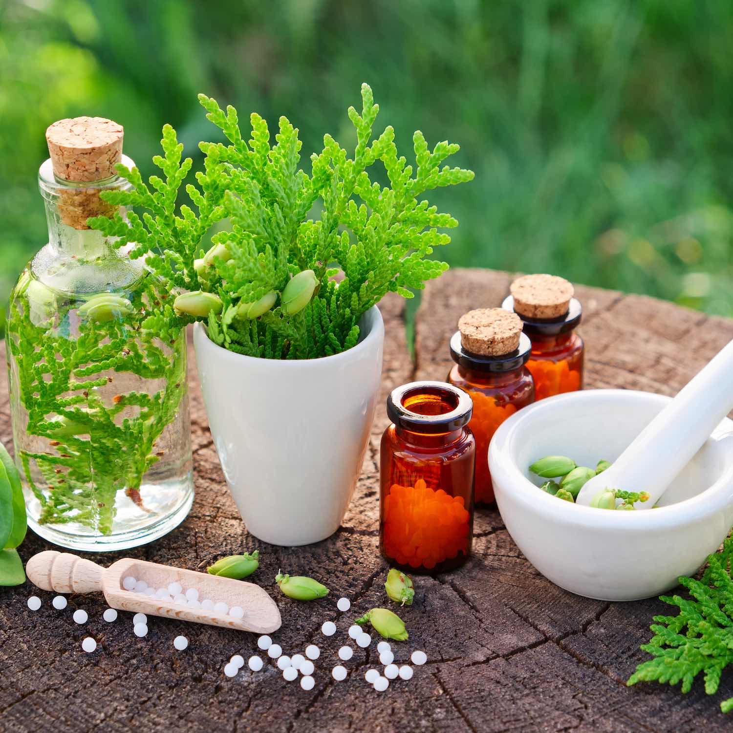 Homéopathie Pharmacie de la Liberté